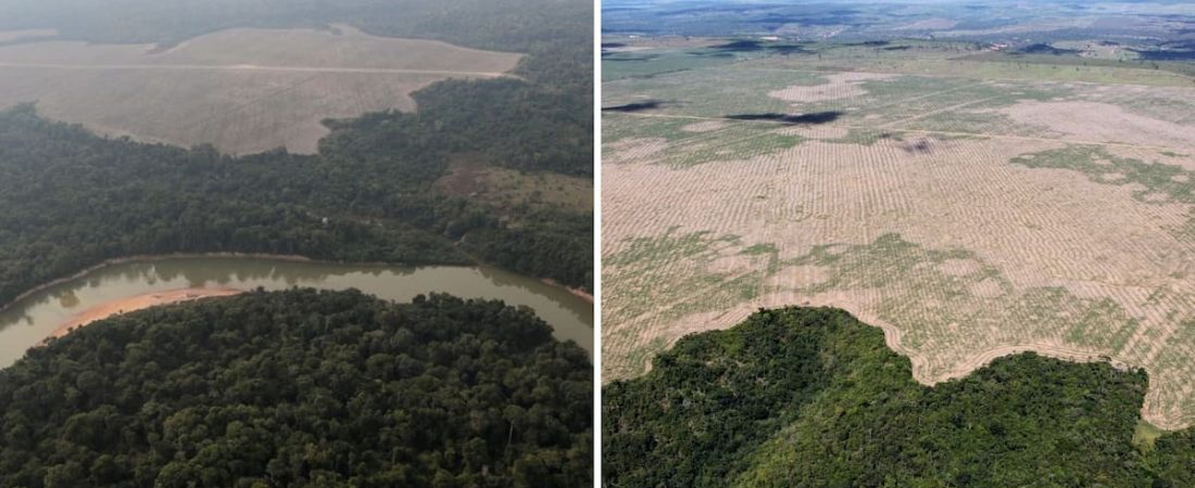 La selva amazónica se acerca a un punto en el que podría convertirse en una sabana, según nuevo estudio