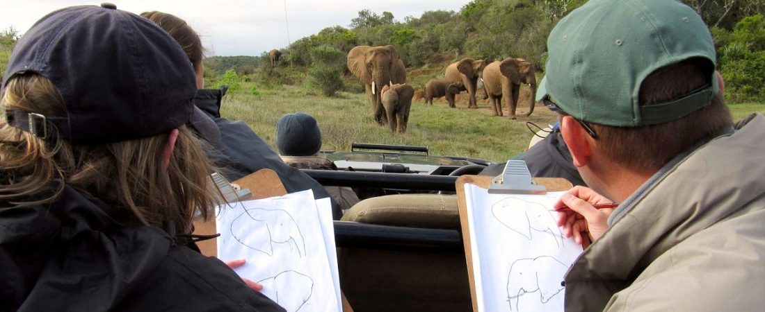 Senales-para-elegir-un-voluntariado-responsable-con-fauna-salvaje-intriper.jpg