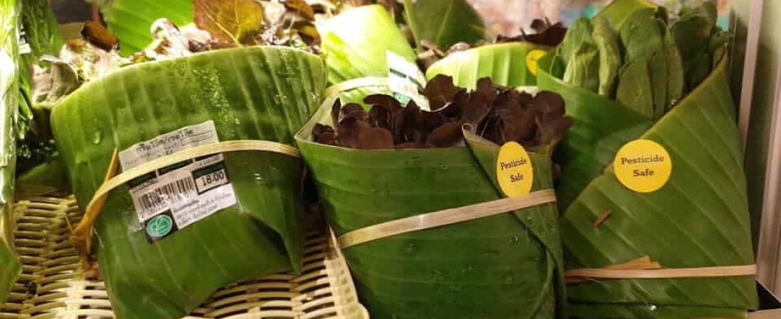 Tailandia y Vietnam emplean bolsas de hojas de banana para cuidar el medio ambiente y son un ejemplo de lo que deben seguir el resto de los países 1