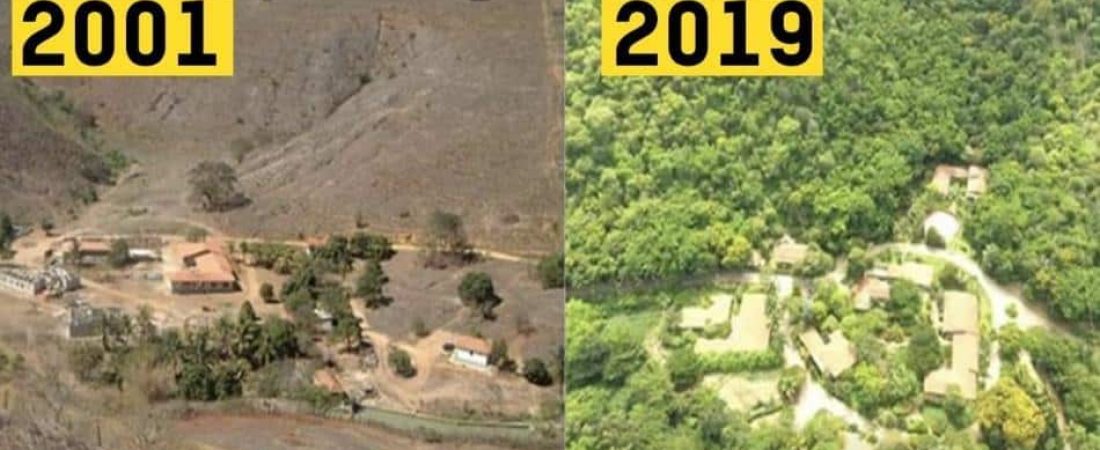 The-Brazilian-photographer-and-the-20-year-reforestation-project-of-over-2.7-million-trees