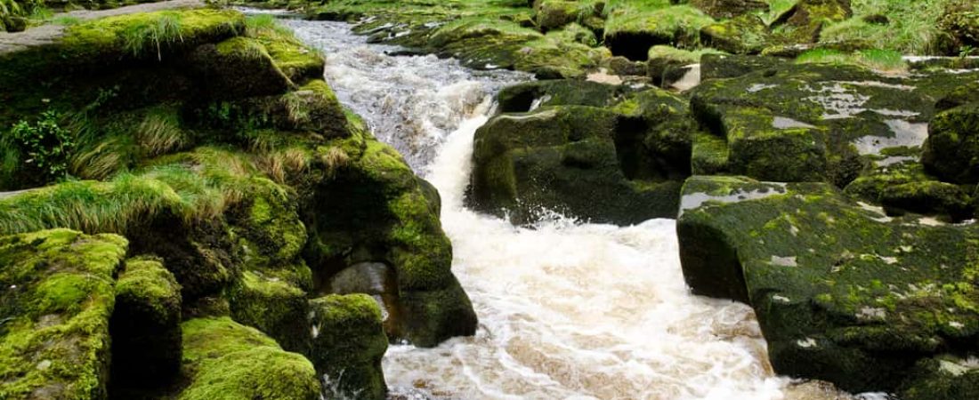 The Strid