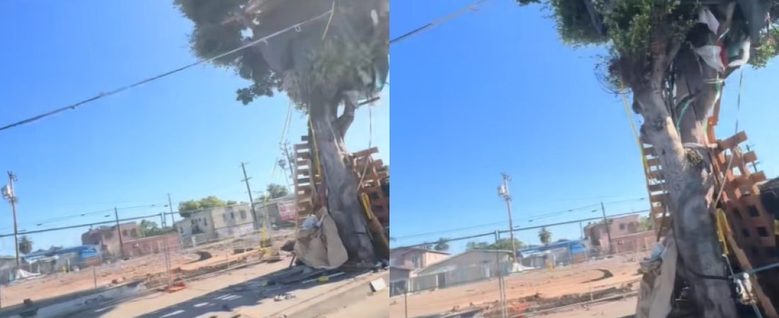 TikTok_hoesuefaztudo