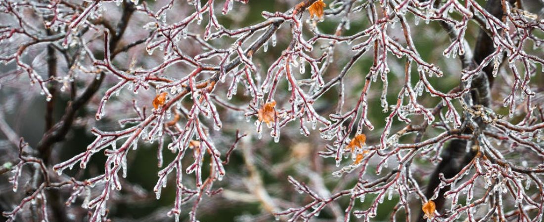Tormenta-de-hielo-amenaza-cortes-de-energia-en-el-noreste-de-EE.UU_.-intriper.jpg