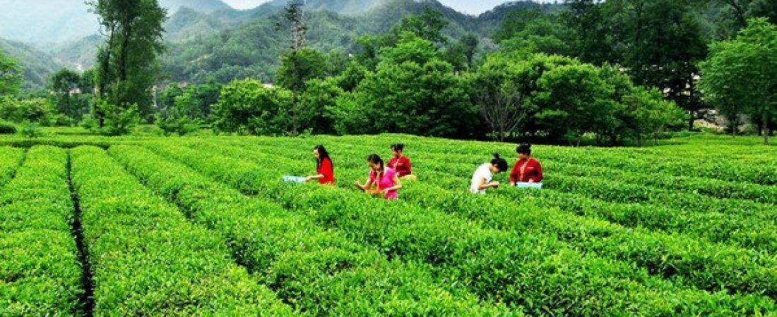 Turismo-rural-en-Gansu-el-auge-sostenible-que-impulsa-China-en-2025-intriper.jpg
