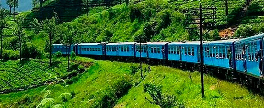 Turista-muere-tragicamente-al-sacar-la-cabeza-de-un-tren-intriper.jpg