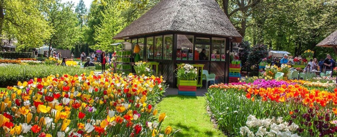 UZARMOS27RHGXGLX6HMXRCAR2A