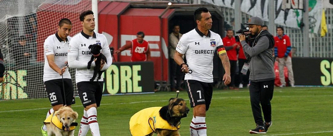 Un club de futbol chileno salió a la cancha junto a perritos para concientizar sobre la adopción de mascotas