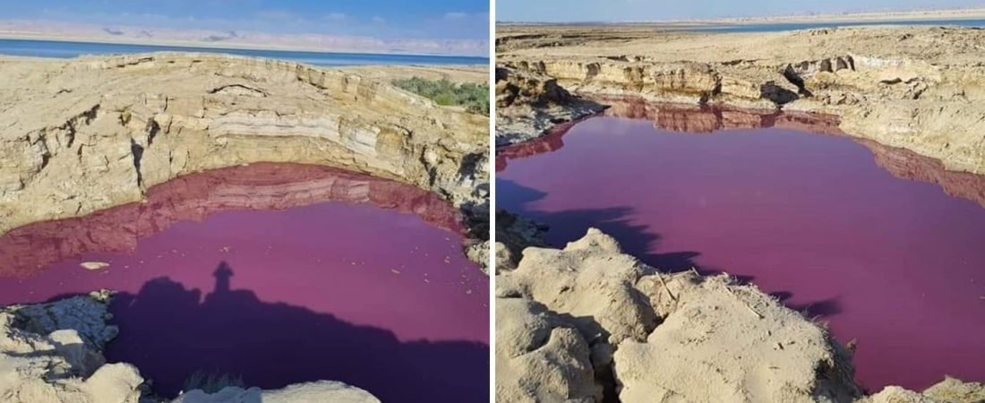 Un estanque cerca del Mar Muerto se tiñó de rojo y se desconocen los motivos