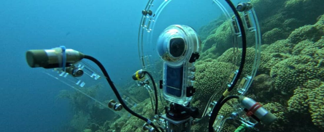 Un-innovador-dispositivo-permite-identificar-los-sonidos-de-los-peces-980x858