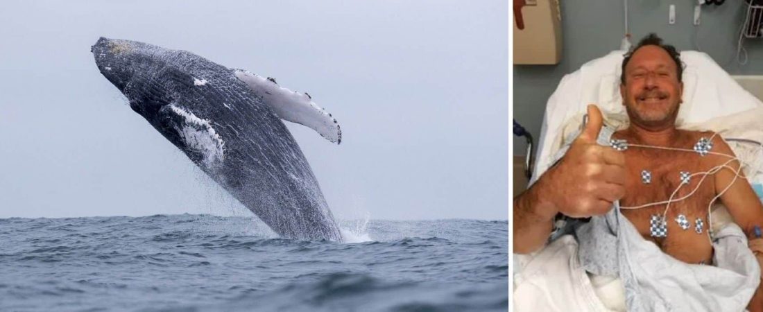 Una ballena casi se traga a un buzo, pero se arrepintió y lo devolvió a la superficie