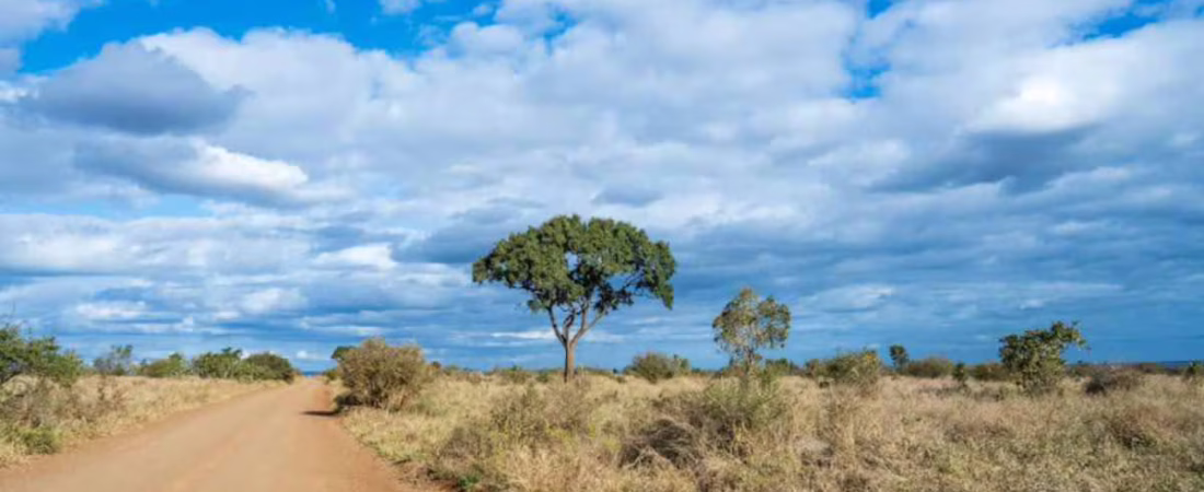 V6JNGY3X2ZAWVKUDWYYY2SUZC4