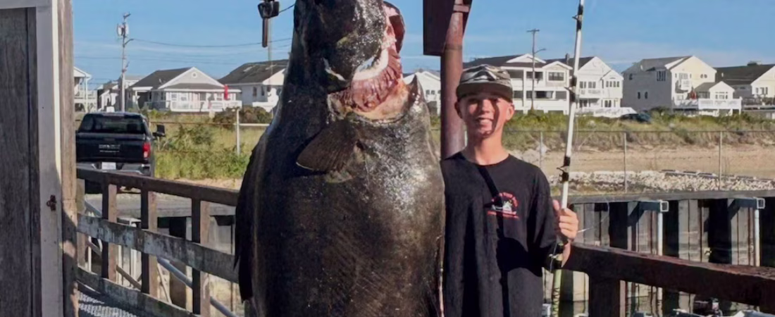 VAZSGGVSTRCLLB7DHYTATCNXCY