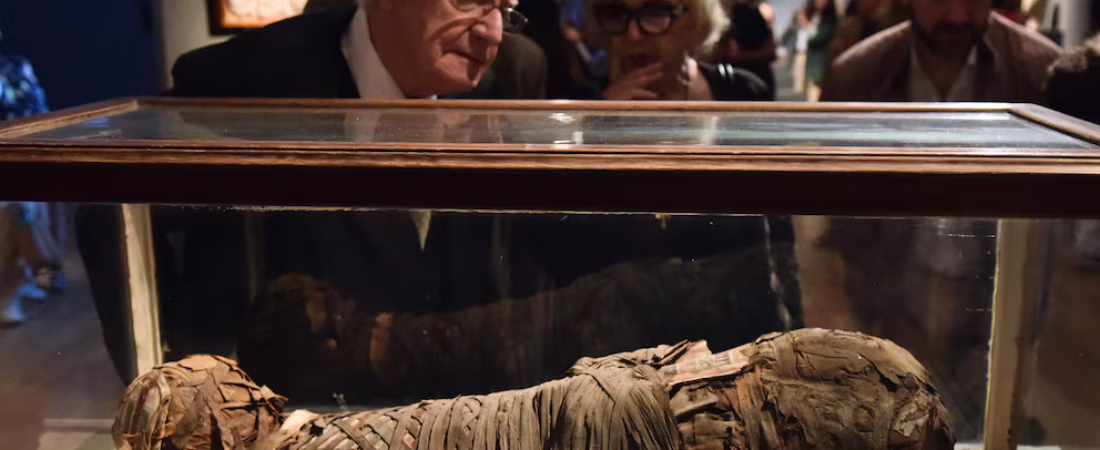 VWZY6XTSXREOFAB6YJT5MGMQSM