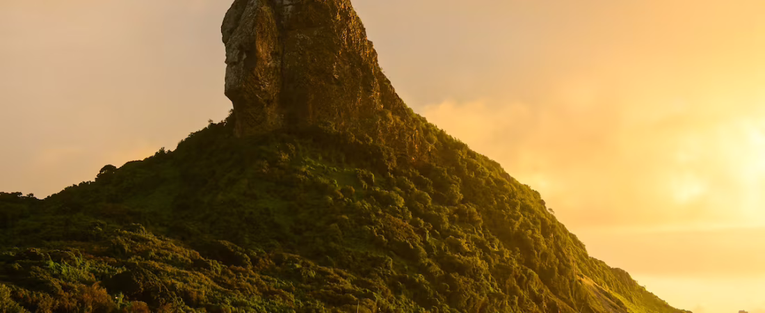 VX6IS5CHARDRNH66IUL6DMLPAQ