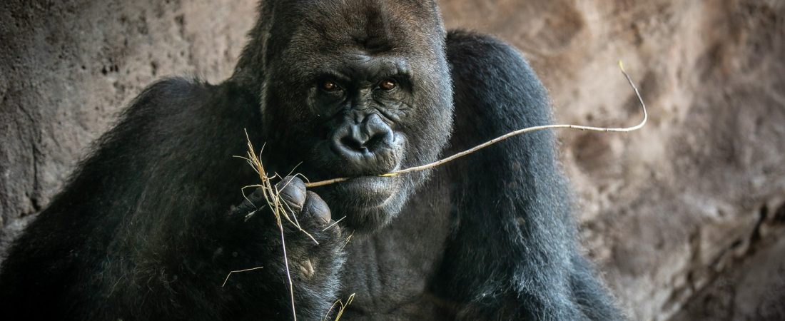 VYOXZQIZXZFRVGFZ3EGO7MRPIY