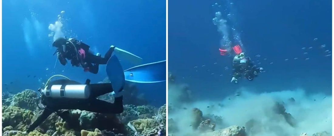 [Video] Increíbles imágenes muestran lo que sucede bajo el agua cuando ocurre un terremoto