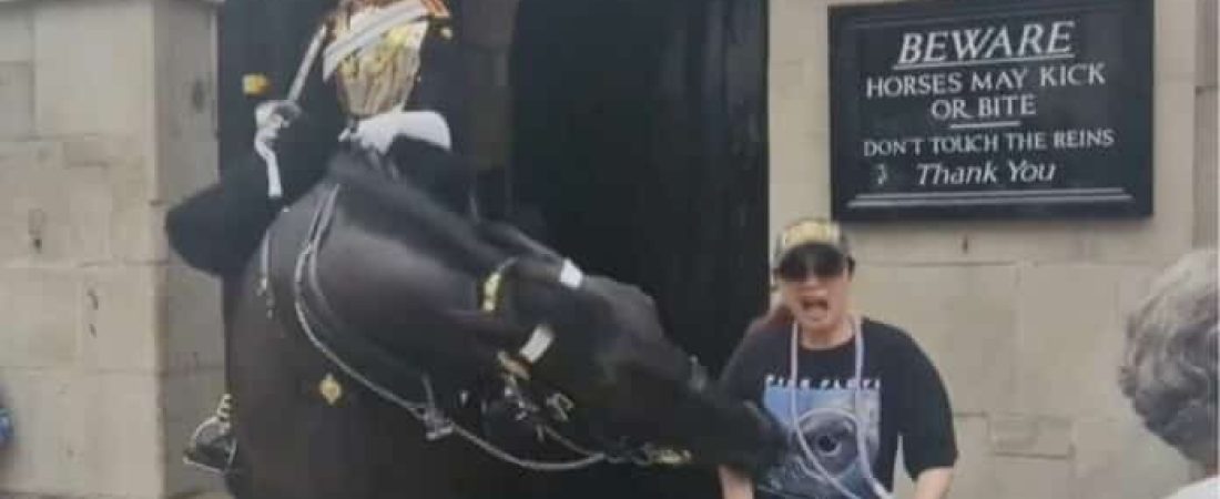 Video-¡Impactante-Turista-es-mordida-por-un-caballo-de-la-Guardia-Real-1-696x396