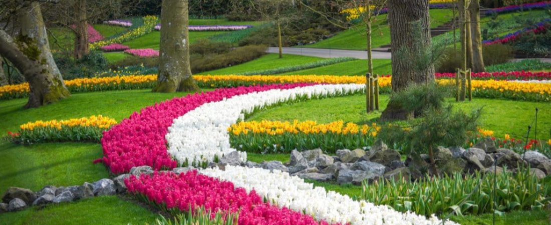 Visit Keukenhof