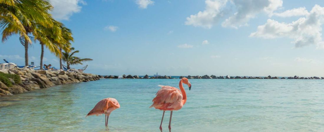 Vuelos-baratos-de-Frontier-a-isla-del-Caribe-desde-109-dolares-intriper.jpg