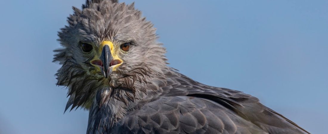 WhatsApp-Image-2025-08-26-at-18.06.38