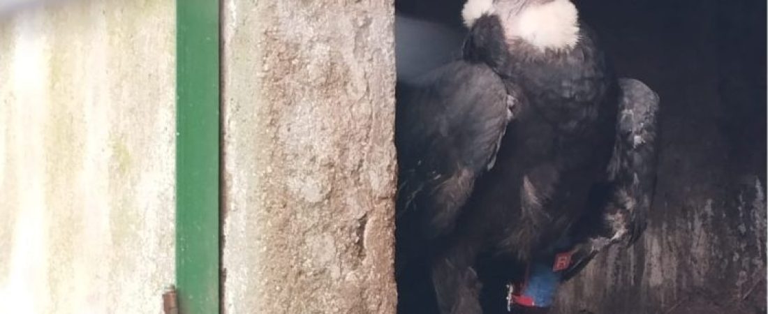 WhatsApp-Image-2026-03-13-at-2.04.49-PM-750x420