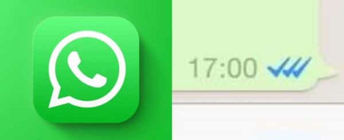 WhatsApp-agrega-tres-tildes-que-significa-la-nueva-funcion-intriper.jpg
