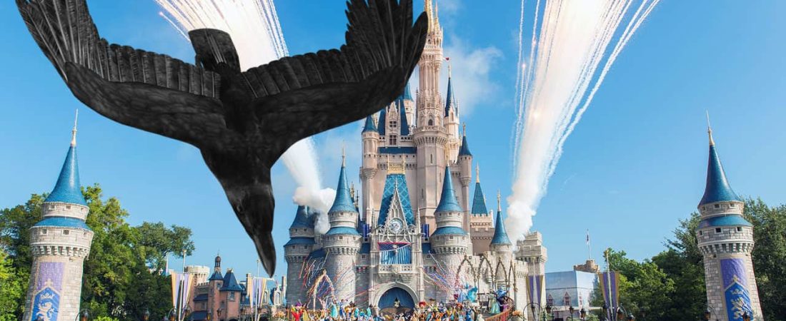 Woman sues Disney World over bird_1559147604289.jpg_21911480_ver1.0_1280_720