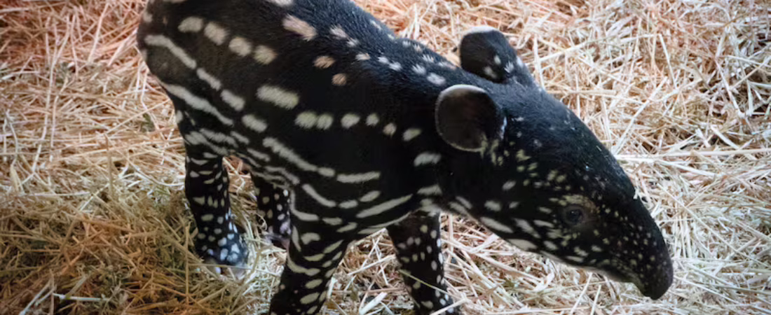 XQJQNPGPGVEZ7GVNF3JGTUXY3Y