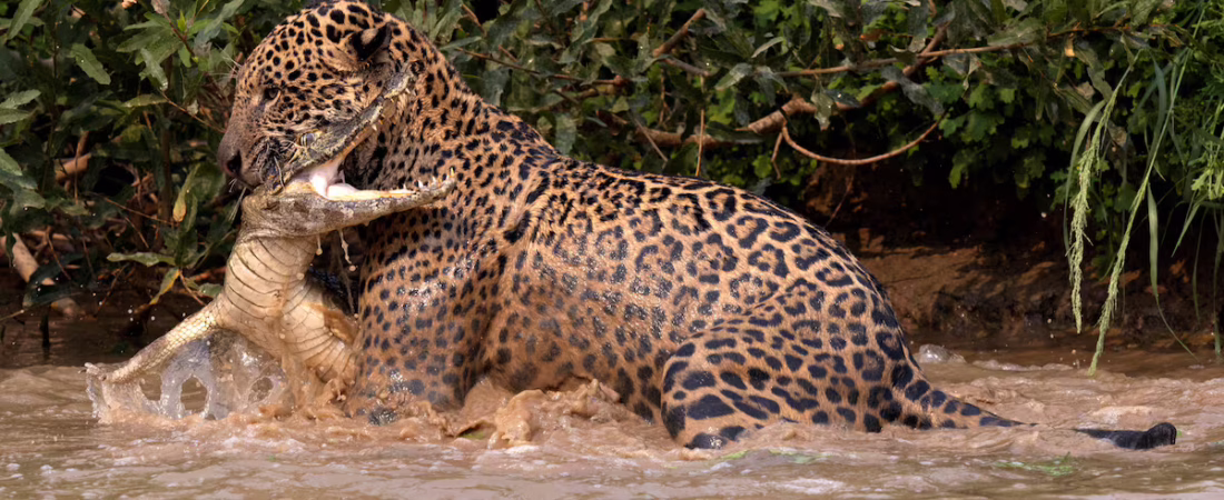 XSJGD2XERVDCFPRWC3MGMLFSQ4