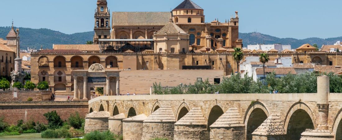 YLWXP5ZUMBD4JJMGQRZM44OUMA