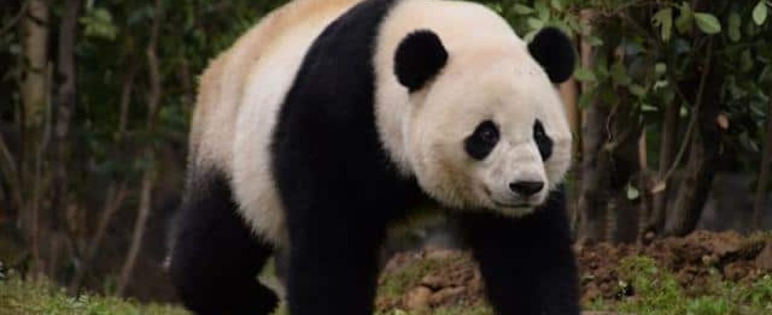 a51f03d324a976285c7f3174ef4467b8