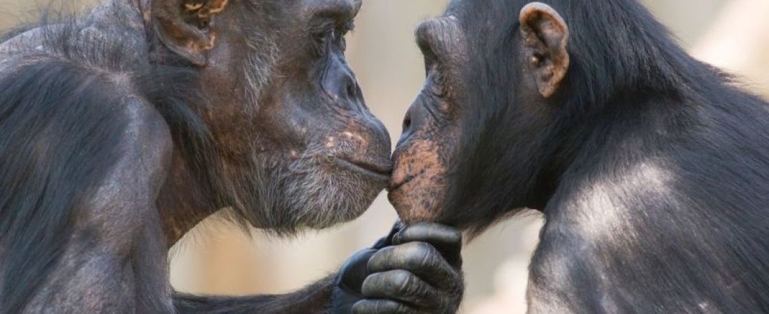 ac5awg-20251119175024272