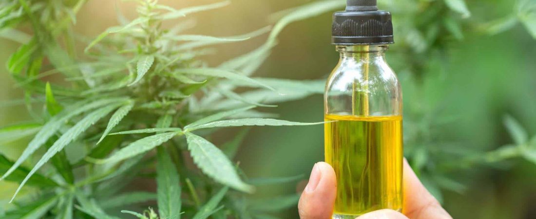 El gobierno argentino legaliza el autocultivo de cannabis para uso medicinal y la venta de derivados en farmacias
