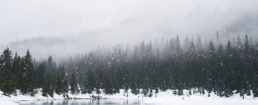 Photo by Adam Chang on Unsplash