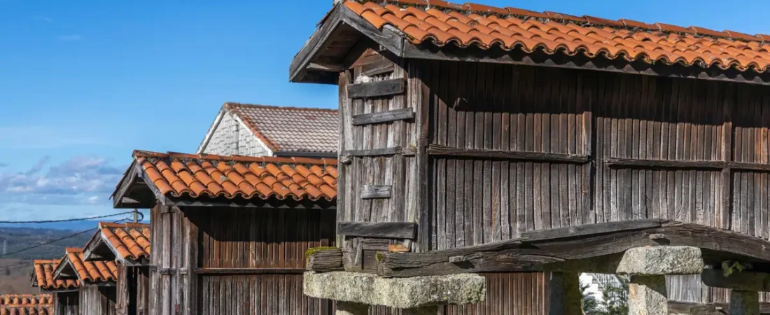 adobestock_e9fa091a_828565458_260408114241_1200x800