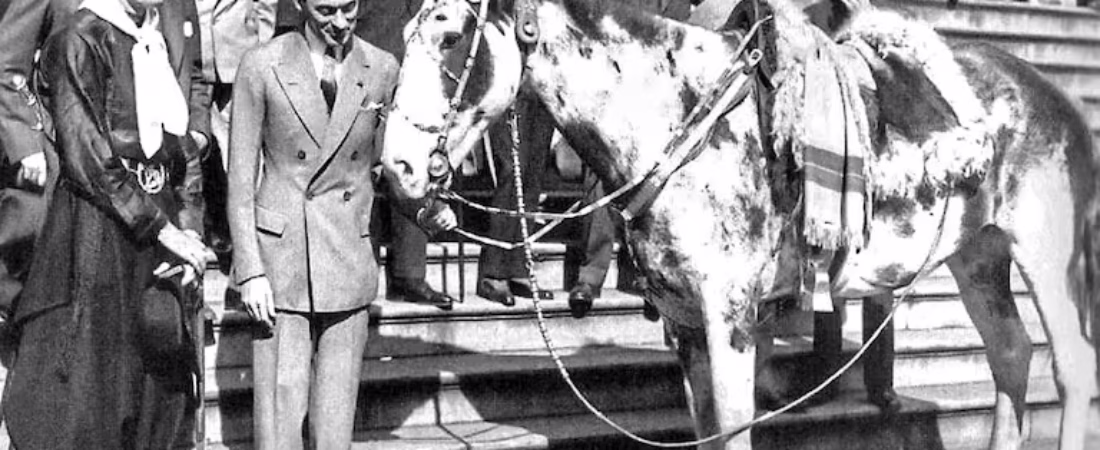 aime-tschiffely-con-el-caballo-mancha-en-nueva-HNVAEB4HFFBAJEHKGTKN3NC2M4