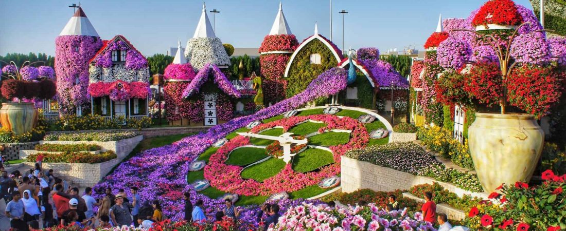 Miracle Garden, Dubai