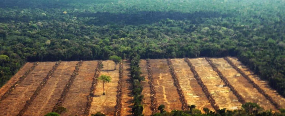 amazonia-bosques-deforestacion-areas_naturales_protegidas-4