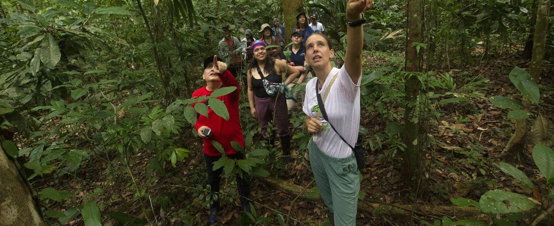 amazonia-campaña-de-concientización-perú-2