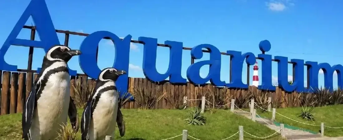aquarium_mar_del_plata