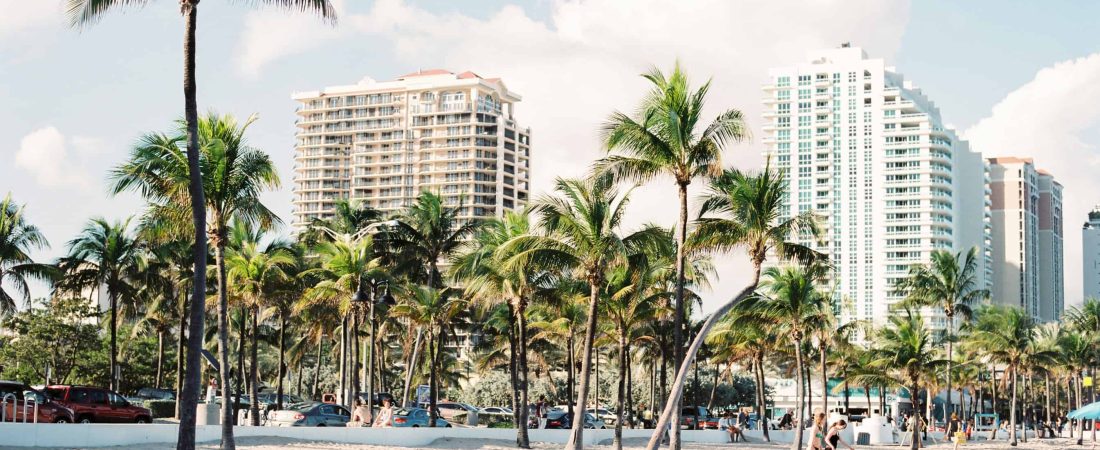 palm trees near buildings