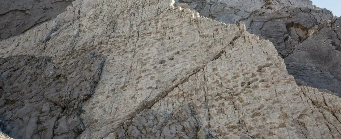 autopista-dinosaurios1_36f2e47e_251218104541_1280x853