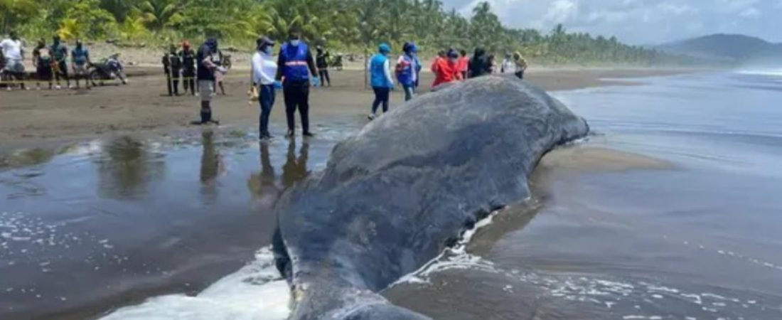 bKbt9je3y_1200x630__1