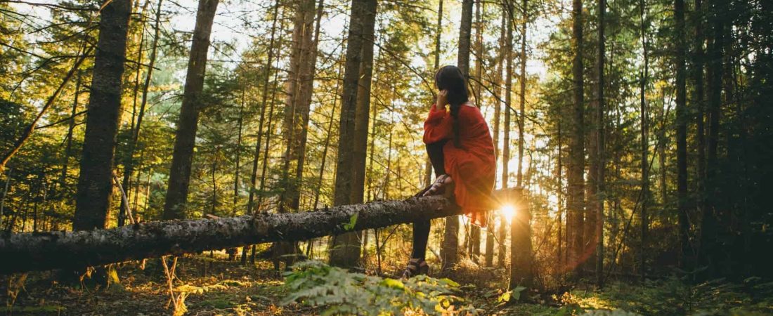 Baños de bosque, un modo distinto de viajar que busca conectar con la naturaleza