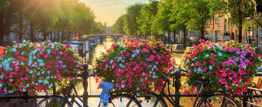 Países Bajos: Ámsterdam utilizará flores para impedir que los ciclistas aten las bicicletas a los puentes