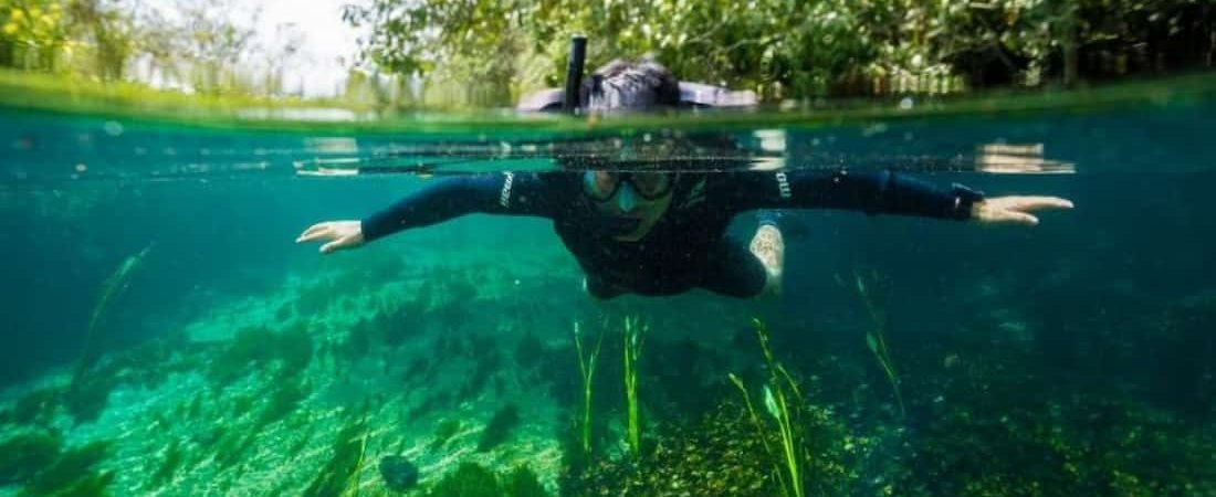 Snorkeling en Bonito