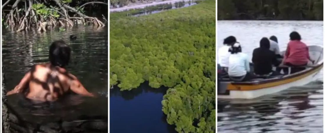 Los hombres no pueden ingresar en el bosque sagrado de mujeres desnudas en Papúa