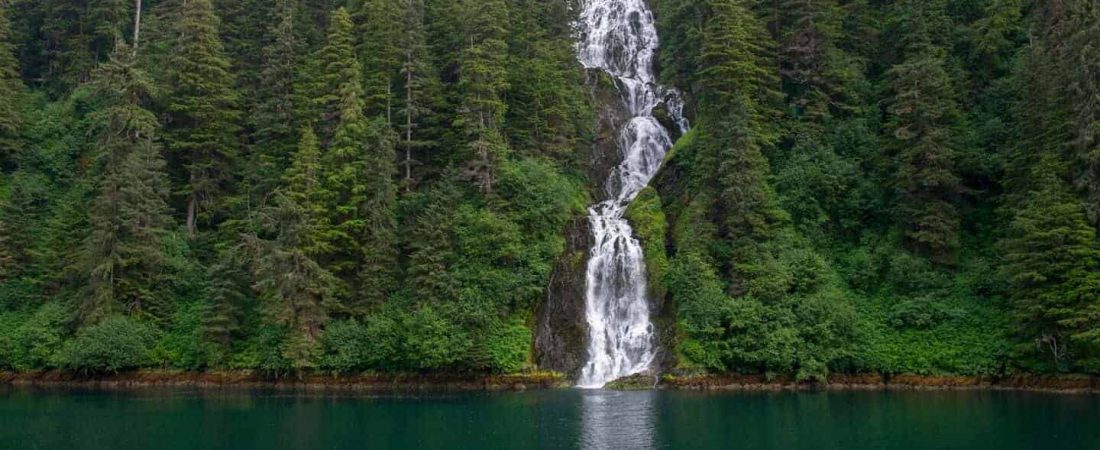 Un importante bosque nacional de Estados Unidos, ubicado en Alaska, volverá a ser protegido por las autoridades