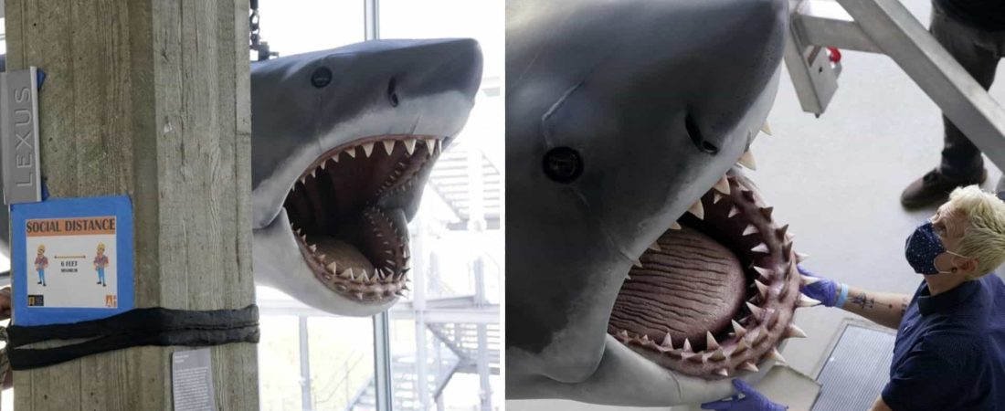 Bruce, el tiburón inspirado en la película 'Jaws', estará en exhibición en el Museo de la Academia de Cine