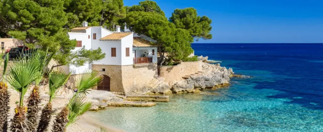 buscan-voluntarios-vivir-las-islas-baleares-ofrecen-alojamiento-gratis-cambio-cuidar-perros-1
